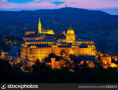 Illuminated Budavari Palace in Budapest at summer sunset