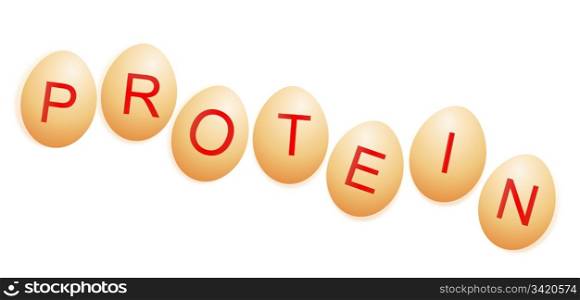 Illustration depicting a row of chicken eggs with letters spelling the word PROTEIN arranged over white.