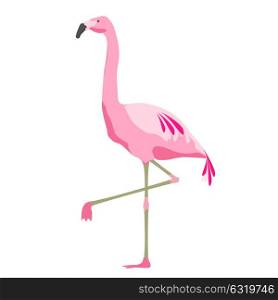 illustration, fauna and birds concept - pink flamingo over white background. pink flamingo bird over white background