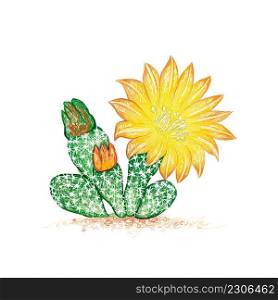 Illustration Hand Drawn Sketch of Airampoa Cactus with Yellow Flower for Garden Decoration.