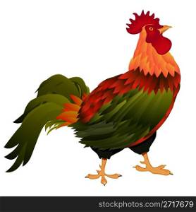 Illustration of a standing rooster over white background