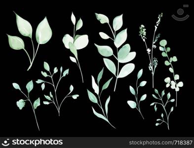 Illustration of a watercolor drawing of a botanical set of plants from green leaves and twigs on an isolated black background.. Illustration of a watercolor drawing of a botanical set of plants from green leaves and twigs on an isolated background.