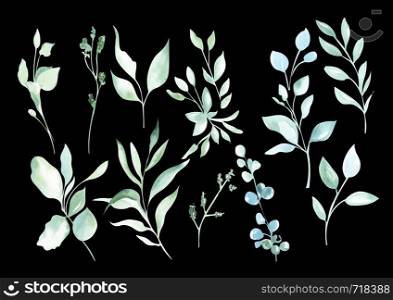 Illustration of a watercolor drawing of a botanical set of plants from green leaves and twigs on an isolated black background.. Illustration of a watercolor drawing of a botanical set of plants from green leaves and twigs on an isolated background.