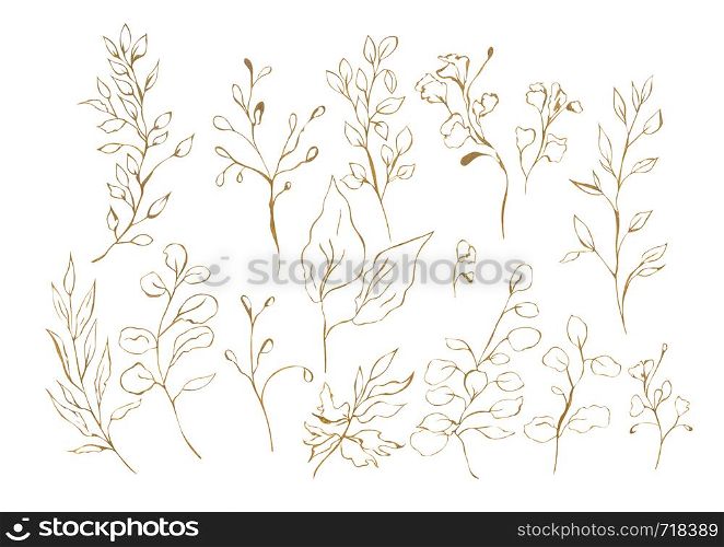 Illustration of a watercolor drawing of a botanical set of plants from brown or gold leaves and twigs in the form of contours on an isolated white background.. Illustration of a watercolor drawing of a botanical set of plants from brown or gold leaves and twigs in the form of contours on an isolated background.