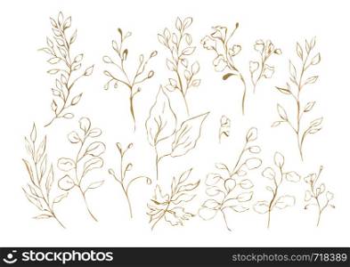 Illustration of a watercolor drawing of a botanical set of plants from brown or gold leaves and twigs in the form of contours on an isolated white background.. Illustration of a watercolor drawing of a botanical set of plants from brown or gold leaves and twigs in the form of contours on an isolated background.