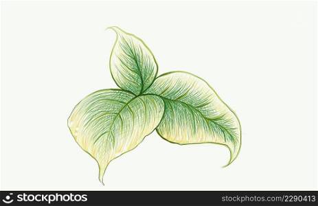 Illustration of Beautiful Fresh Green Leaves Isolated on A White Background.