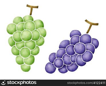 Illustration of bunches of grapes