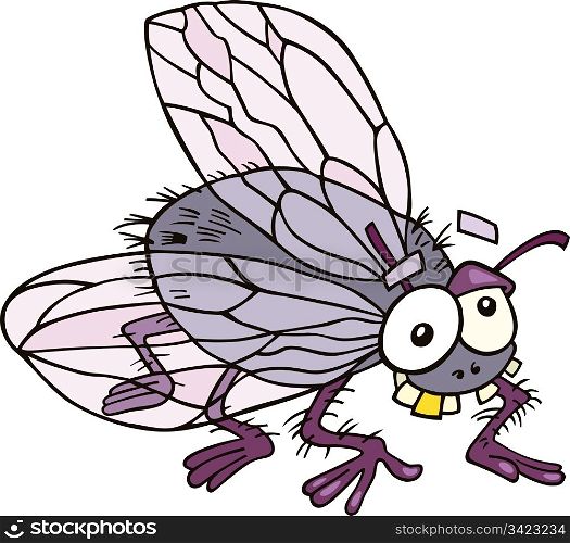Illustration of funny fly