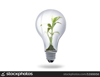illustration of light bulb with plant inside
