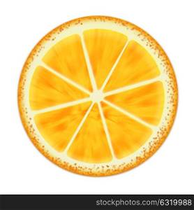 illustration of orange slice