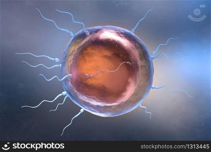 Illustration of sperm and egg cell. 3D illustration. Illustration of sperm and egg cell