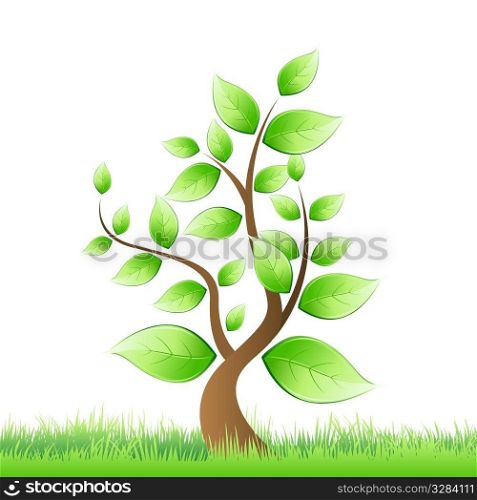 illustration of vector tree growing in grass