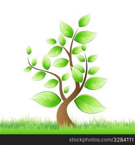 illustration of vector tree growing in grass