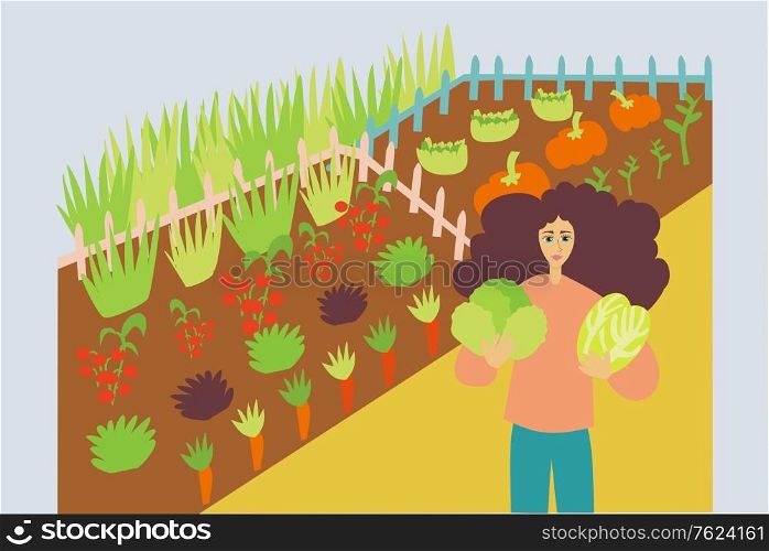 Illustration of woman cultivating organic and fresh vegetables in a farm - Sustainability and Veganism