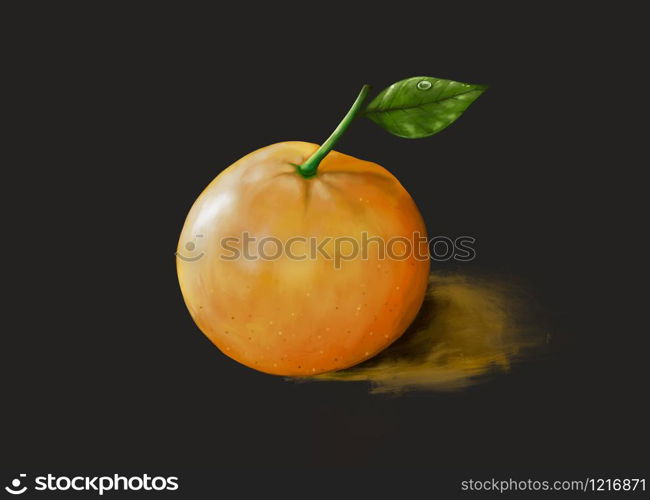 illustration still life Orange fruit on black background, DIgital oil painting with water drop on leaf.
