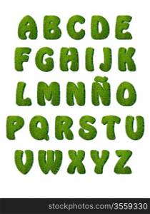 Illustration with a ABC with grass texture.