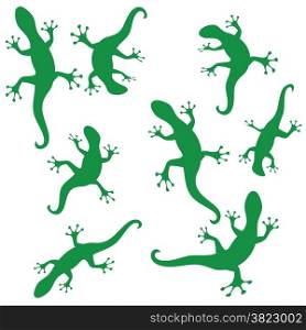 illustration with green silhouettes of salamander on white background