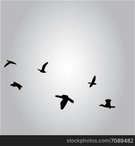 Ilustrations of flying birds in sky grey vector. Ilustrations of flying birds in sky grey