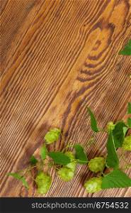Image of a hop plant on a wooden table. Close up