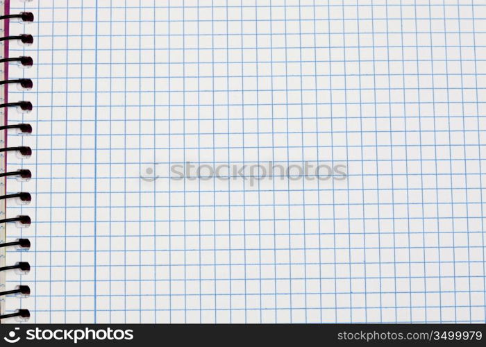 Image of a notebook in blank with leaves grid