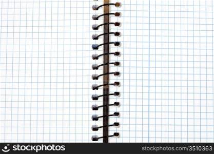 Image of a notebook in blank with leaves grid