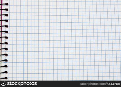 Image of a notebook in blank with leaves grid