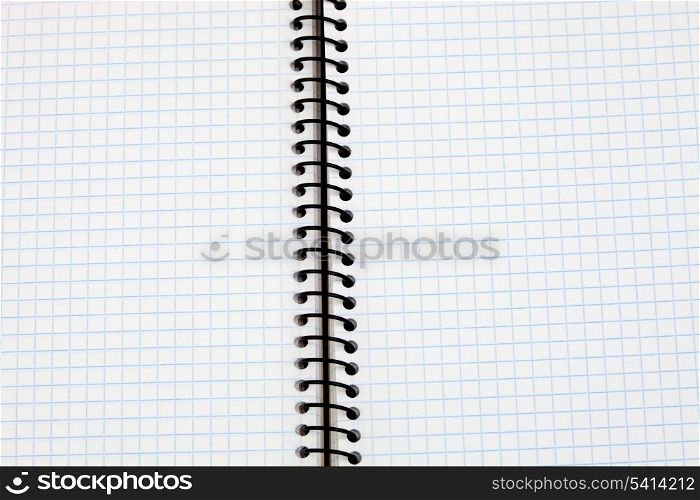 Image of a notebook in blank with leaves grid