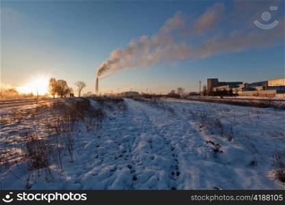 Image of a quiet countryside plant in winter morning