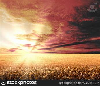 Image of a rural landscape under shining sunlight