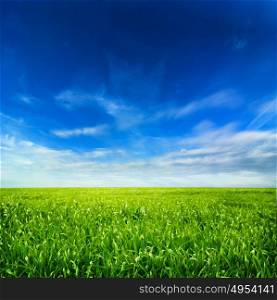 Image of a summer, fresh green meadow