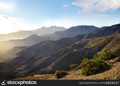 Image of a tropical, wild scenery