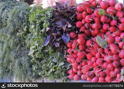 Image of background fresh radish and foliage
