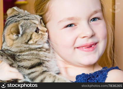 Image of beautiful girl with grey kitty