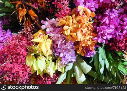 image of Colorful flowers background.