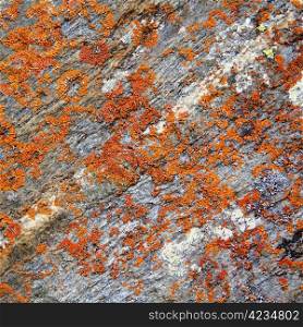 Image of colorful roughness gritty texture