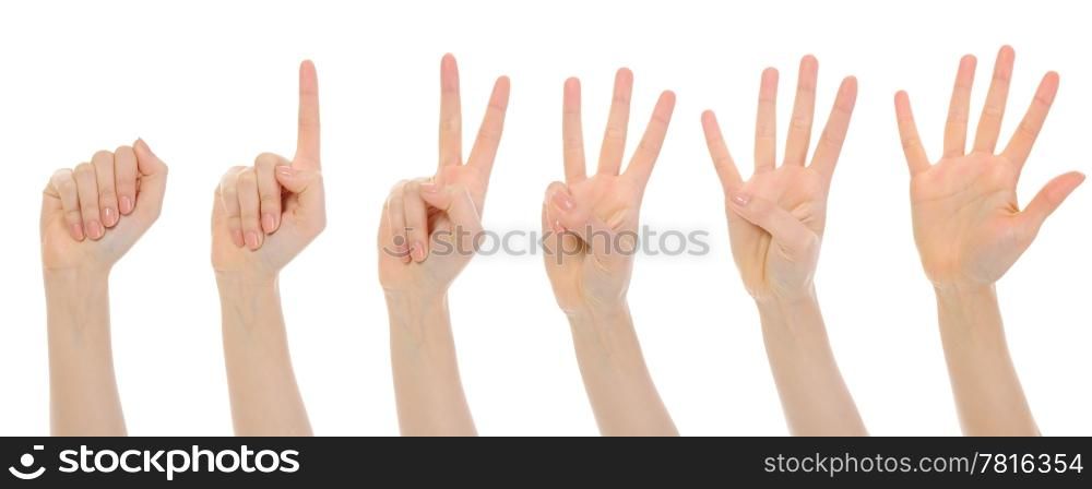 Image of female hands. Isolated on white background