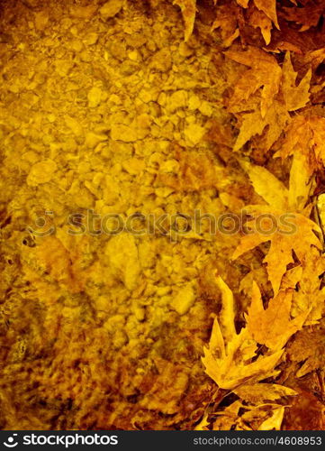 Image of golden autumn leaves background, autumnal maple leaves border, old tree leaf in water puddle, yellow trees foliage, fall season, leaves texture, autumn nature, old dry plant in forest