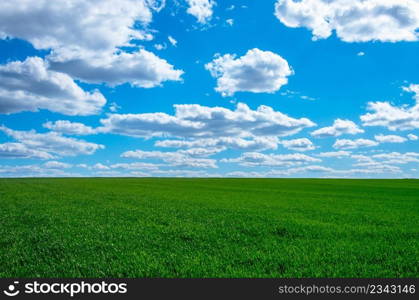 Image of green grass field and bright blue sky