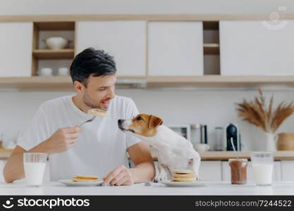 Image of handsome of man in casual white t shirt, eats tasty pancakes, doesnt share with dog, pose against kitchen interior, have fun, drinks milk from glass. Breakfast time concept. Sweet dessert