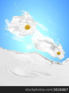 Image of milk splashes with camomile against color background