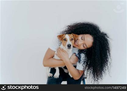 Image of playful pretty woman with Afro hairstyle, smiles gladfully, holds domestic animal, carries dog to veterian, isolated over white background. Glad lady petts jack russell terrier at home.