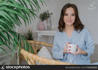 Image of relaxed woman with pleasant appearance, dressed in night costume, holds cup of coffee or tea, poses in spacious room with green plant, rejoices morning. Spare time and leisure concept