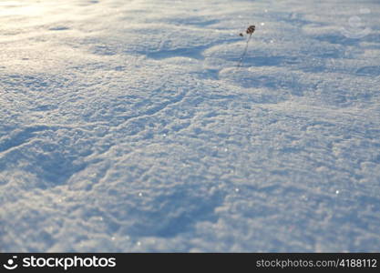 Image of snowbound field. Shoot with backlight