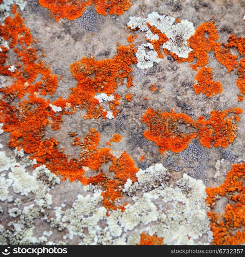 Image of texture with colorful mineral