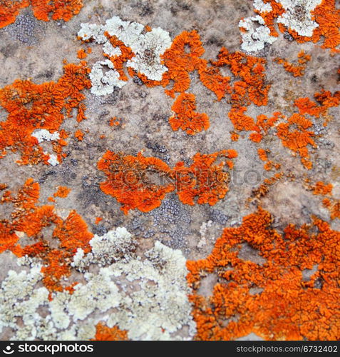 Image of texture with colorful mineral