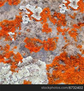 Image of texture with colorful mineral