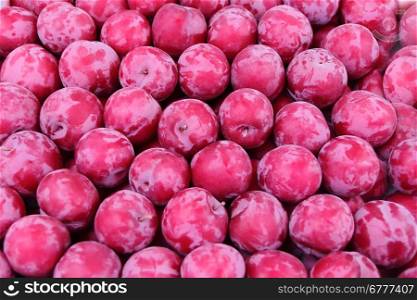Image of the background fresh red plum