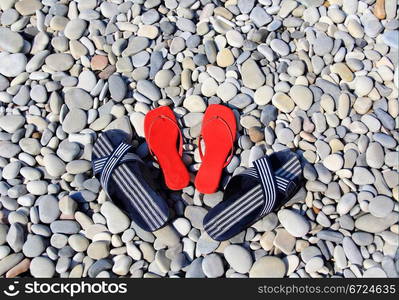 Image of varicoloured feminine schists on beach