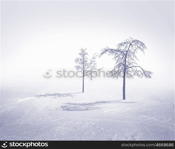 Image of white snow tree on a white background