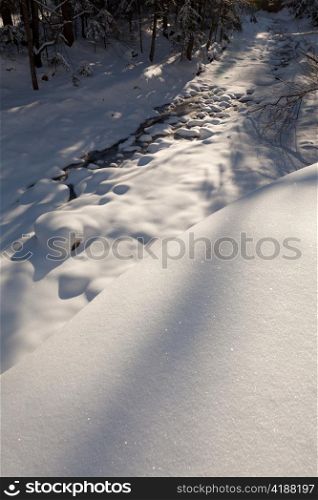 Image of wonderful winter forest with frozen stream